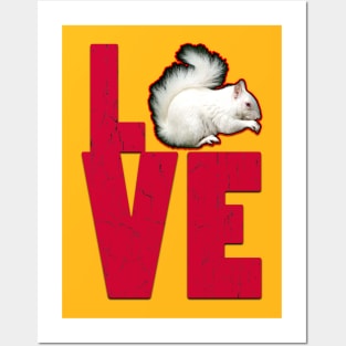 albino squirrel love Posters and Art